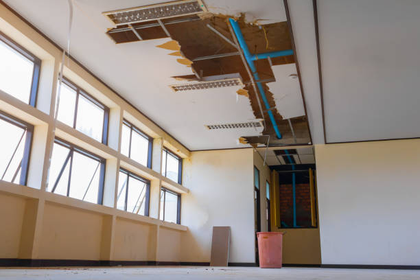 Best 24/7 water damage repair  in Hansville, WA