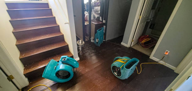 Best Water damage cleanup near me  in Hansville, WA