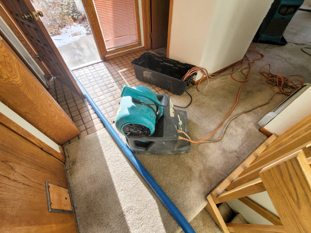 Best Fire Damage Restoration  in Hansville, WA