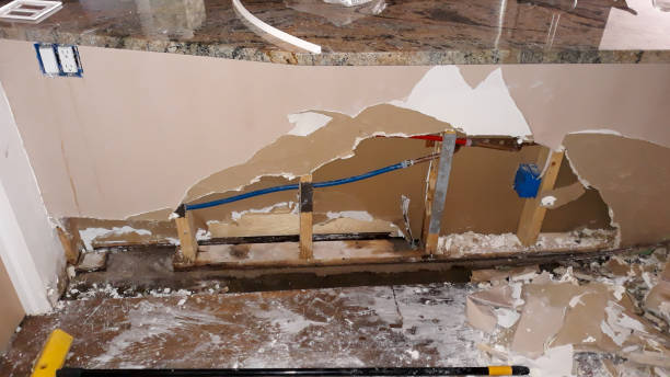 Best Sewage cleanup and water damage restoration  in Hansville, WA