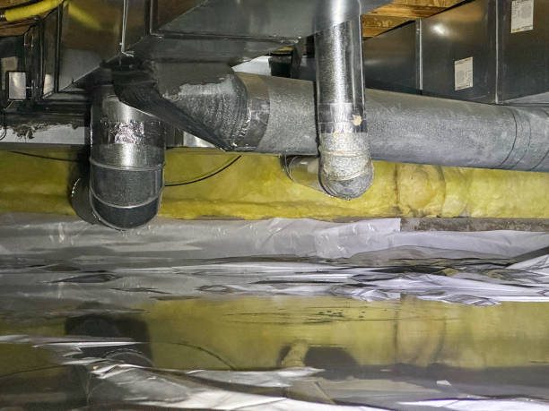 Best Professional water damage repair  in Hansville, WA