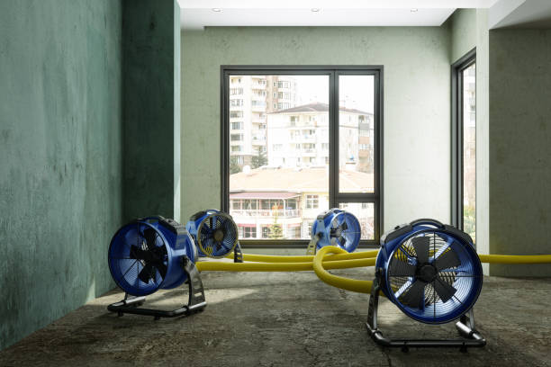 Best Residential water damage restoration  in Hansville, WA