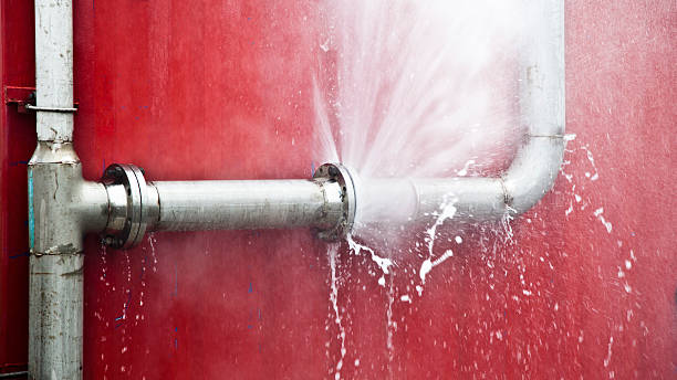 Best Flood restoration services  in Hansville, WA